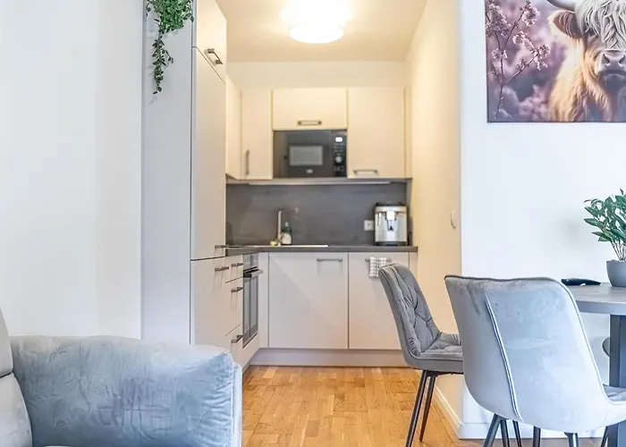 アパート 9-min To Center, Comfy 1br,1lr W Balcony