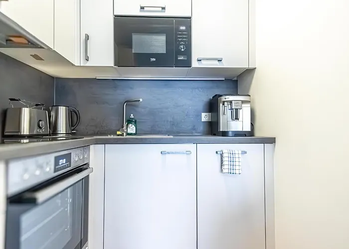 アパート 9-min To Center, Comfy 1br,1lr W Balcony *
